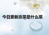今日更新貢菜是什么菜