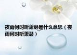 夜雨何時聽蕭瑟是什么意思（夜雨何時聽蕭瑟）