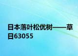 日本落葉松優(yōu)樹——草日63055