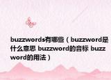 buzzwords有哪些（buzzword是什么意思 buzzword的音標(biāo) buzzword的用法）
