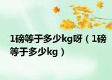 1磅等于多少kg呀（1磅等于多少kg）