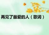 再見了最愛的人（歌詞）