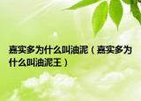嘉實(shí)多為什么叫油泥（嘉實(shí)多為什么叫油泥王）