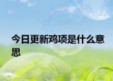 今日更新雞項(xiàng)是什么意思