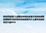 核物質(zhì)是指什么細胞具有相似的基本結構如細胞膜細胞質(zhì)與遺傳有關的核物質(zhì)為什么要填充核物質(zhì)而不是DNA