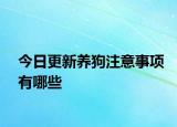 今日更新養(yǎng)狗注意事項有哪些