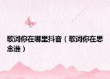 歌詞你在哪里抖音（歌詞你在思念誰(shuí)）