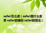 safari怎么讀（safari是什么意思 safari的音標(biāo) safari的用法）