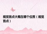 視覺盲點大概在哪個位置（視覺盲點）