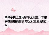 蘋果手機(jī)上應(yīng)用鎖怎么設(shè)置（蘋果手機(jī)應(yīng)用鎖在哪 怎么設(shè)置應(yīng)用鎖介紹）