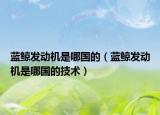 藍(lán)鯨發(fā)動(dòng)機(jī)是哪國(guó)的（藍(lán)鯨發(fā)動(dòng)機(jī)是哪國(guó)的技術(shù)）