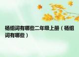 楊組詞有哪些二年級上冊（楊組詞有哪些）