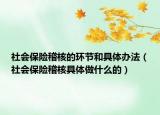 社會(huì)保險(xiǎn)稽核的環(huán)節(jié)和具體辦法（社會(huì)保險(xiǎn)稽核具體做什么的）