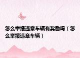 怎么舉報違章車輛有獎勵嗎（怎么舉報違章車輛）