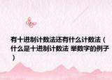 有十進(jìn)制計(jì)數(shù)法還有什么計(jì)數(shù)法（什么是十進(jìn)制計(jì)數(shù)法 舉數(shù)字的例子）