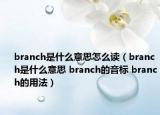 branch是什么意思怎么讀（branch是什么意思 branch的音標 branch的用法）