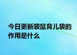 今日更新袋鼠育兒袋的作用是什么