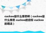 cuckoo是什么意思啊（cuckoo是什么意思 cuckoo的音標 cuckoo的用法）