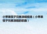 小蘋果筷子兄弟演唱現(xiàn)場（小蘋果 筷子兄弟演唱的歌曲）