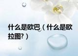 什么是歐巴（什么是歐拉圖?）