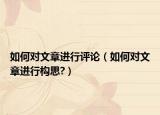 如何對(duì)文章進(jìn)行評(píng)論（如何對(duì)文章進(jìn)行構(gòu)思?）