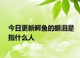 今日更新鱷魚的眼淚是指什么人