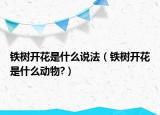 鐵樹開花是什么說法（鐵樹開花是什么動(dòng)物?）