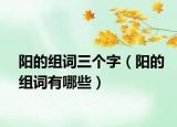 陽的組詞三個字（陽的組詞有哪些）