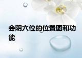 會陰穴位的位置圖和功能