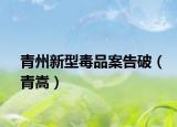 青州新型毒品案告破（青嵩）