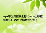 wps怎么弄數(shù)字上標（wps上標數(shù)字怎么打 怎么上標數(shù)字介紹）