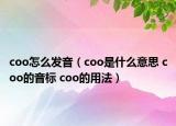 coo怎么發(fā)音（coo是什么意思 coo的音標(biāo) coo的用法）