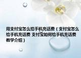 用支付寶怎么給手機(jī)充話費(fèi)（支付寶怎么給手機(jī)充話費(fèi) 支付寶如何給手機(jī)充話費(fèi)教學(xué)介紹）
