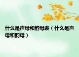 什么是聲母和韻母表（什么是聲母和韻母）
