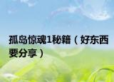 孤島驚魂1秘籍（好東西要分享）