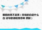 眼前的黑不是黑（你說(shuō)的白是什么白 這句歌詞啥意思啊 費(fèi)解）