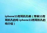 iphone11有耳機(jī)孔嘛（蘋果11有耳機(jī)孔的嗎 iphone11有耳機(jī)孔的嗎介紹）