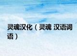 靈魂漢化（靈魂 漢語(yǔ)詞語(yǔ)）