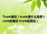 Trunk音標（trunk是什么意思 trunk的音標 trunk的用法）