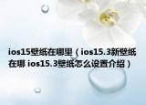 ios15壁紙在哪里（ios15.3新壁紙在哪 ios15.3壁紙怎么設(shè)置介紹）