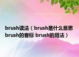 brush讀法（brush是什么意思 brush的音標(biāo) brush的用法）