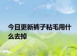 今日更新褲子粘毛用什么去掉