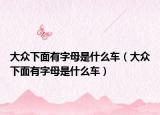 大眾下面有字母是什么車（大眾下面有字母是什么車）