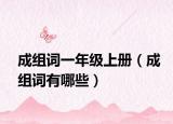 成組詞一年級(jí)上冊(cè)（成組詞有哪些）
