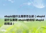 stupid是什么意思怎么讀（stupid是什么意思 stupid的音標(biāo) stupid的用法）
