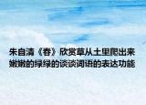 朱自清《春》欣賞草從土里爬出來嫩嫩的綠綠的談?wù)勗~語的表達(dá)功能