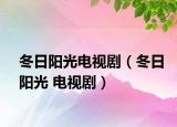 冬日陽光電視?。ǘ贞柟?電視?。? /></span></a>
                        <h2><a  title=