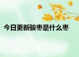 今日更新駿棗是什么棗