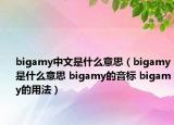 bigamy中文是什么意思（bigamy是什么意思 bigamy的音標 bigamy的用法）