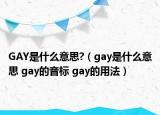 GAY是什么意思?（gay是什么意思 gay的音標 gay的用法）